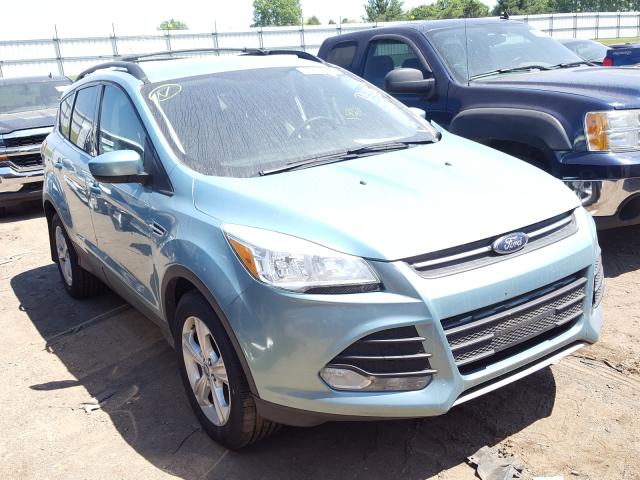 FORD ESCAPE SE 2013 1fmcu9g91duc06013