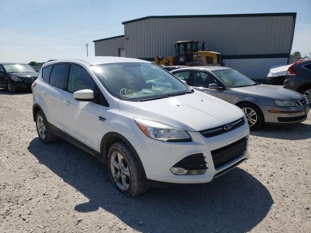 FORD ESCAPE SE 2013 1fmcu9g91dud91521