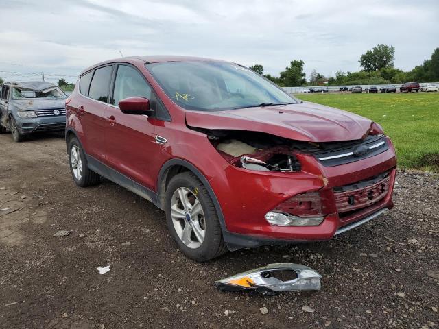 FORD ESCAPE SE 2014 1fmcu9g91euc17806