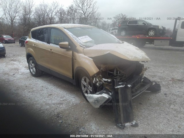 FORD ESCAPE 2014 1fmcu9g91euc66858