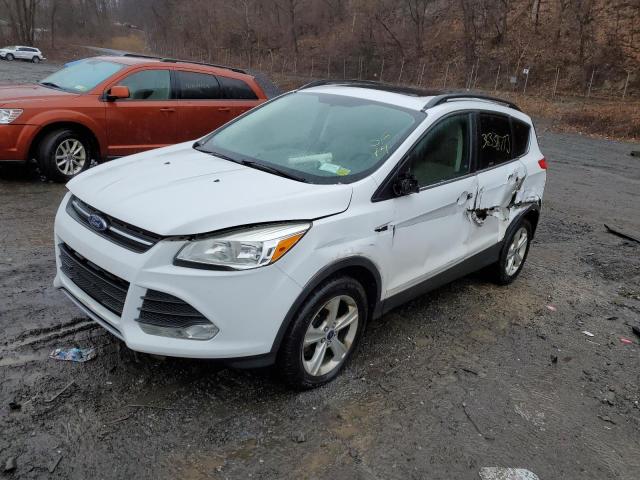 FORD ESCAPE SE 2014 1fmcu9g91euc77407