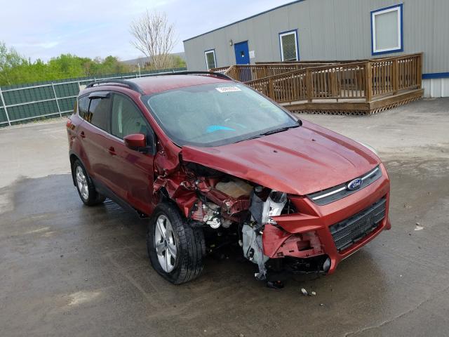 FORD ESCAPE SE 2014 1fmcu9g91euc97608