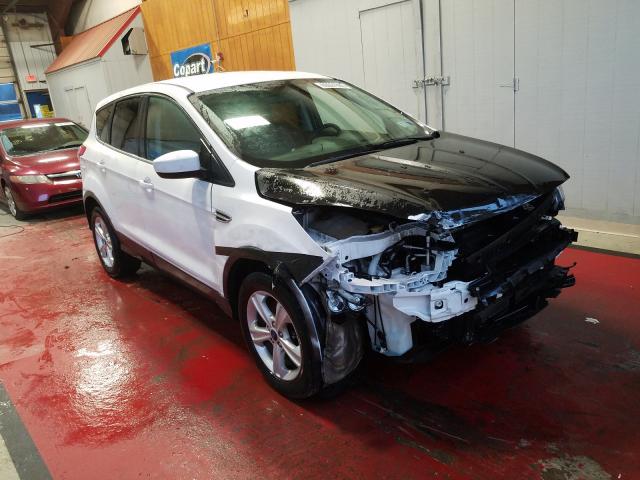 FORD ESCAPE SE 2014 1fmcu9g91eud59461