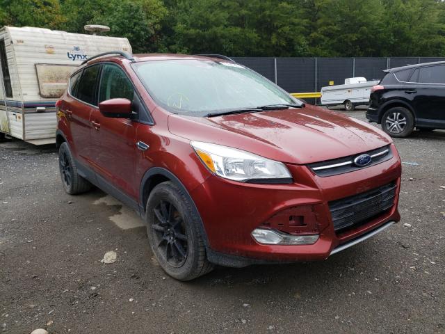 FORD ESCAPE SE 2014 1fmcu9g91eue21599