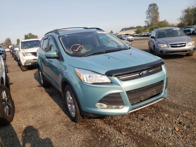 FORD ESCAPE SE 2013 1fmcu9g92duc03556