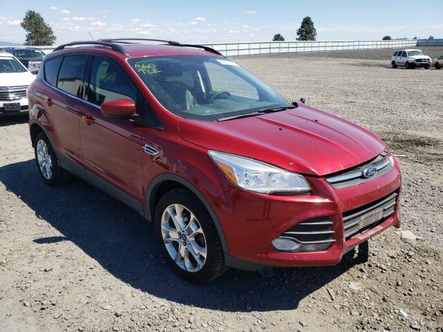 FORD ESCAPE SE 2013 1fmcu9g92duc13133