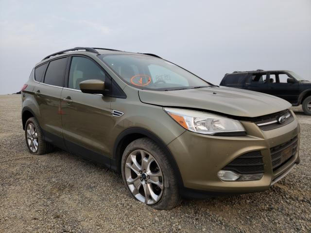 FORD ESCAPE SE 2013 1fmcu9g92duc16243