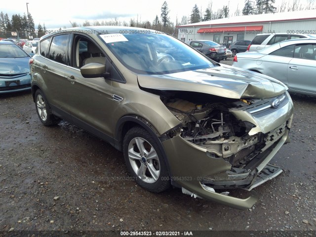 FORD ESCAPE 2013 1fmcu9g92dud87610