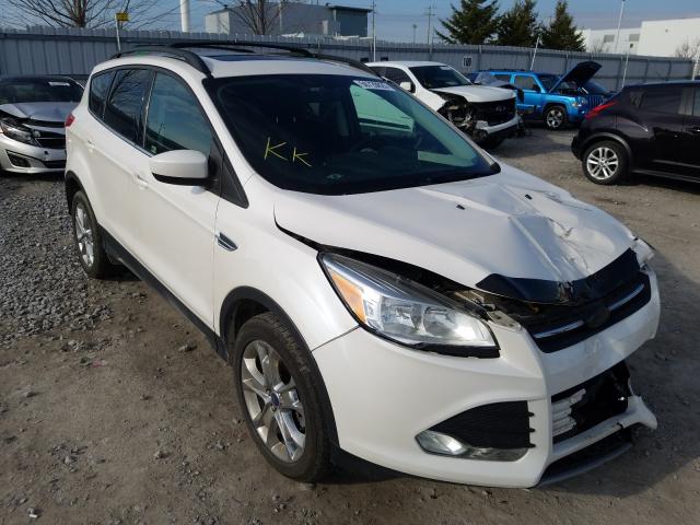 FORD ESCAPE SE 2014 1fmcu9g92eua16285