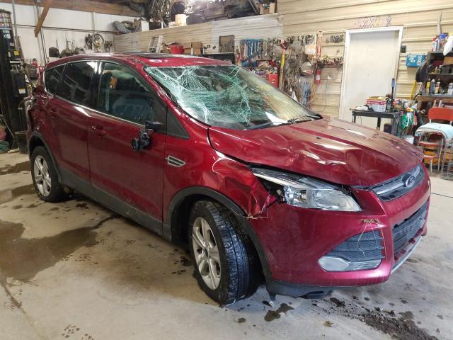 FORD ESCAPE SE 2014 1fmcu9g92eua74848