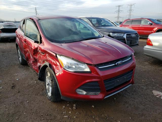 FORD ESCAPE SE 2014 1fmcu9g92eub02549