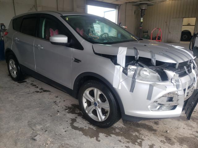 FORD ESCAPE SE 2014 1fmcu9g92euc52905