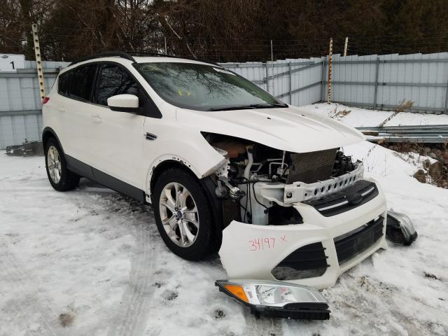 FORD ESCAPE SE 2014 1fmcu9g92euc88464