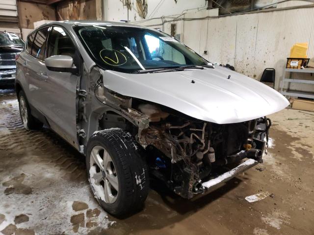 FORD ESCAPE SE 2013 1fmcu9g93duc95406