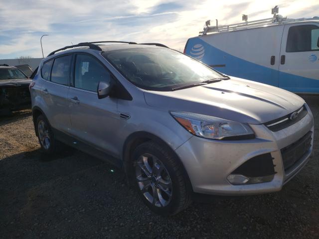 FORD ESCAPE SE 2014 1fmcu9g93eub08747