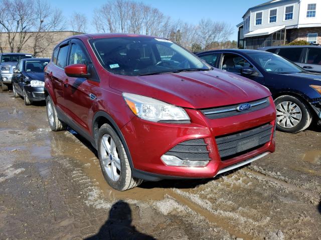 FORD ESCAPE SE 2014 1fmcu9g93eub11003