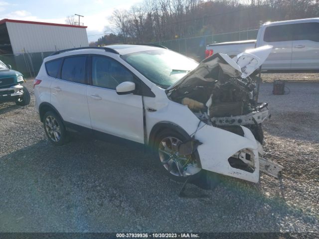 FORD ESCAPE 2014 1fmcu9g93eub26830