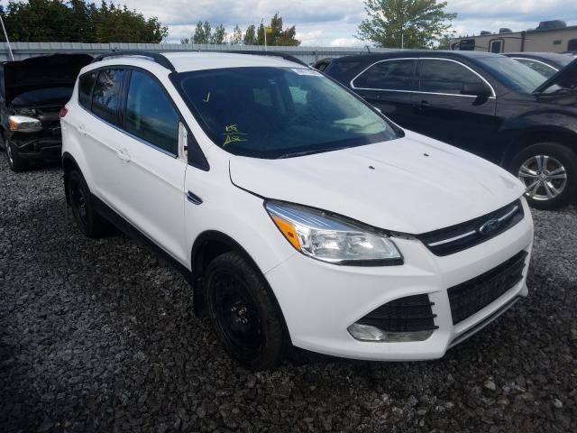 FORD ESCAPE SE 2014 1fmcu9g93euc39290