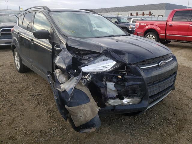 FORD ESCAPE SE 2014 1fmcu9g93euc47969