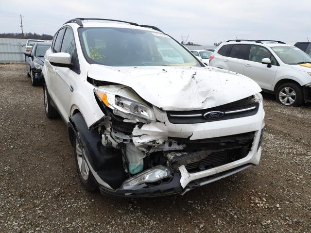 FORD ESCAPE SE 2013 1fmcu9g94duc03459