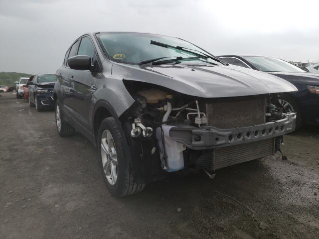 FORD ESCAPE SE 2013 1fmcu9g94dud92789