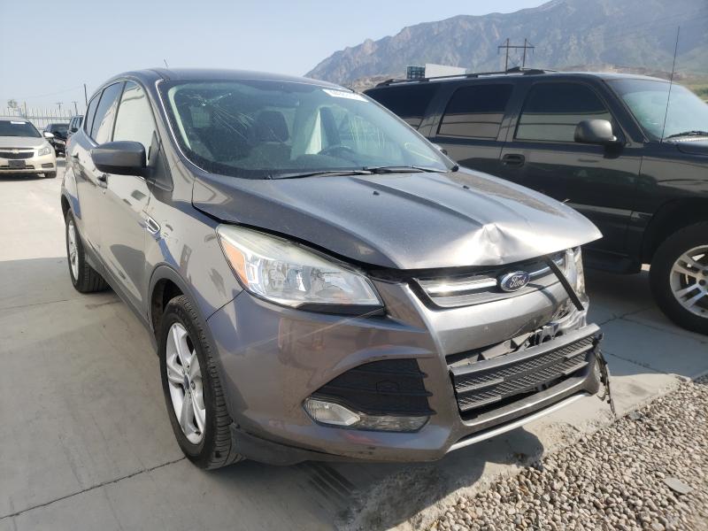 FORD ESCAPE SE 2014 1fmcu9g94eua53841