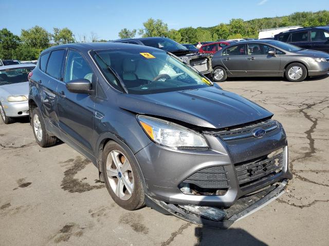 FORD ESCAPE SE 2014 1fmcu9g94eub53521