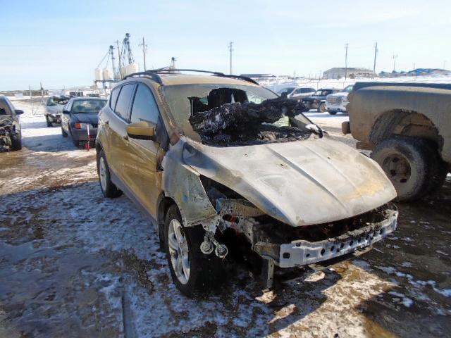 FORD ESCAPE SE 2014 1fmcu9g94euc32767