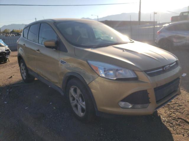 FORD ESCAPE SE 2014 1fmcu9g94euc35894