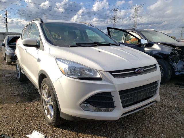 FORD ESCAPE SE 2014 1fmcu9g94euc98624