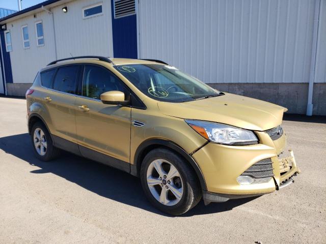 FORD ESCAPE SE 2014 1fmcu9g94eud34151