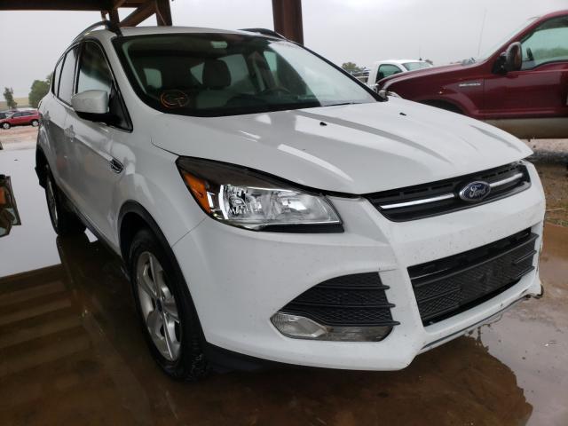 FORD ESCAPE SE 2014 1fmcu9g94eud59986