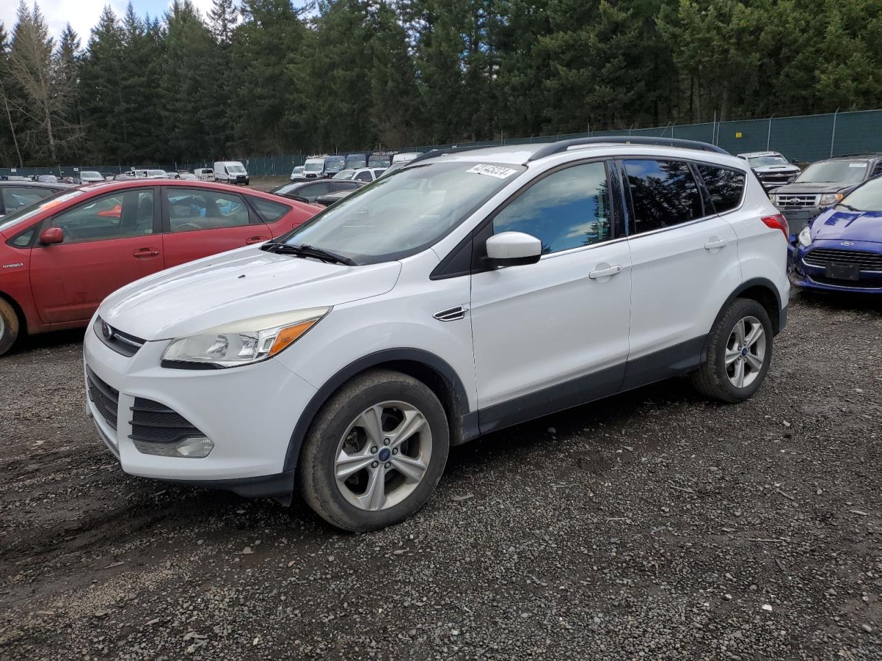 FORD ESCAPE 2014 1fmcu9g94eue28370