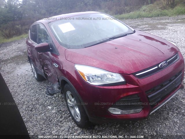 FORD ESCAPE 2013 1fmcu9g95duc22618