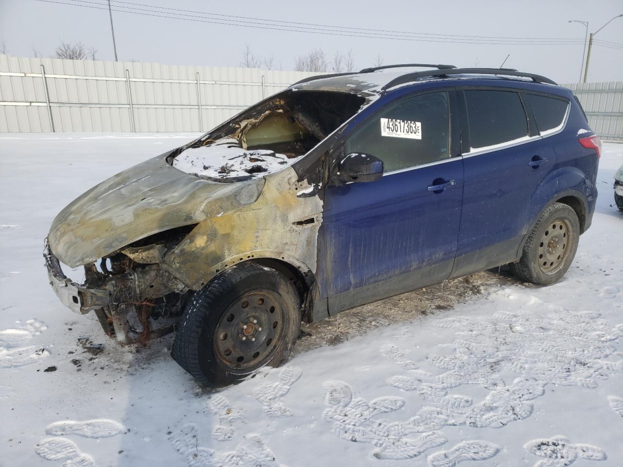 FORD ESCAPE 2014 1fmcu9g95eua64637