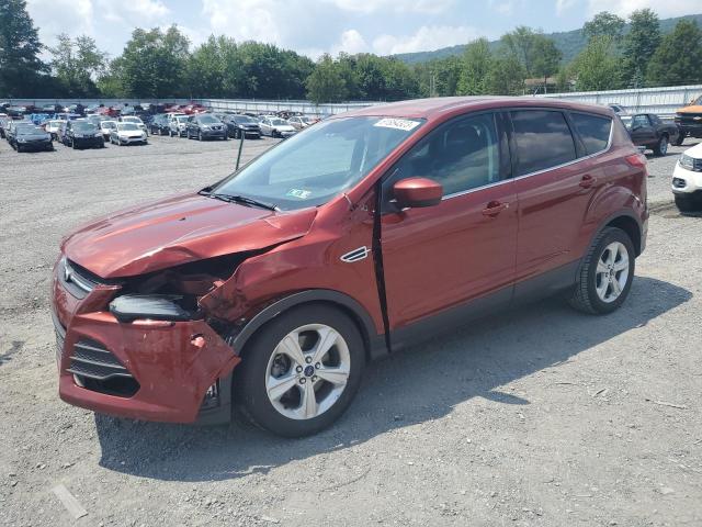 FORD ESCAPE SE 2014 1fmcu9g95euc15542