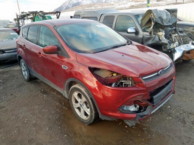 FORD NULL 2014 1fmcu9g95euc59847