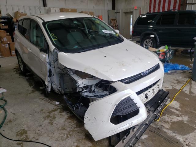 FORD ESCAPE SE 2014 1fmcu9g95euc68337