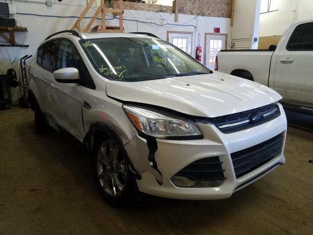 FORD ESCAPE SE 2014 1fmcu9g95eud01367