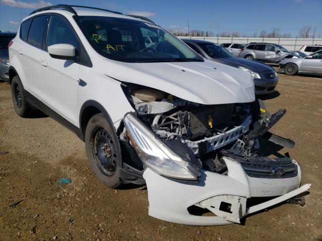 FORD ESCAPE SE 2013 1fmcu9g96dub66379