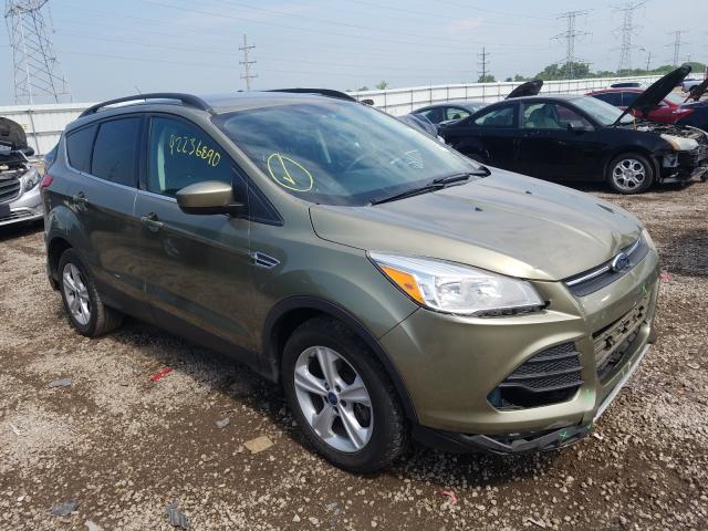 FORD NULL 2014 1fmcu9g96eub49163