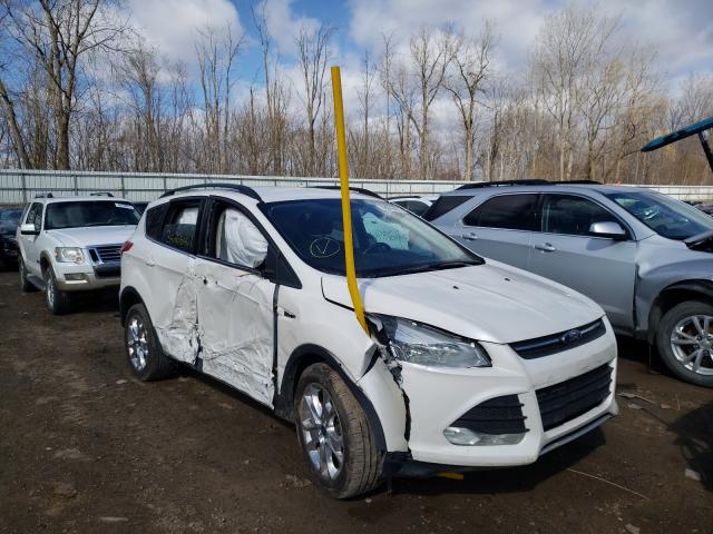 FORD ESCAPE SE 2014 1fmcu9g96eub87931