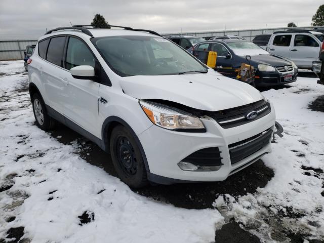 FORD ESCAPE SE 2014 1fmcu9g96eub88383