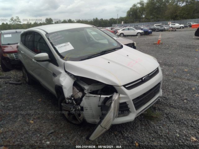 FORD ESCAPE 2014 1fmcu9g96eub91705