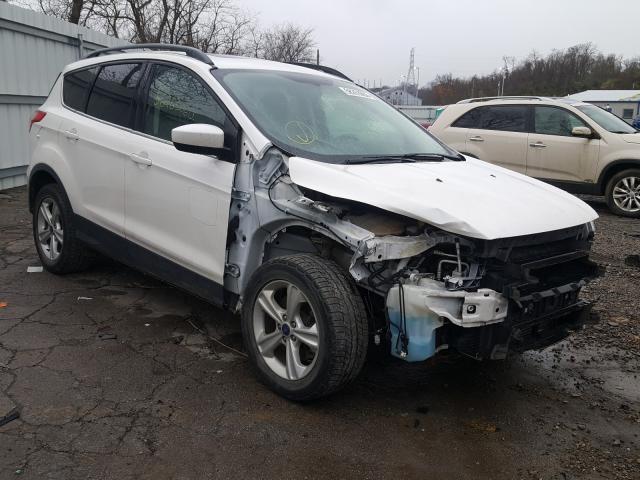 FORD ESCAPE SE 2014 1fmcu9g96euc06199