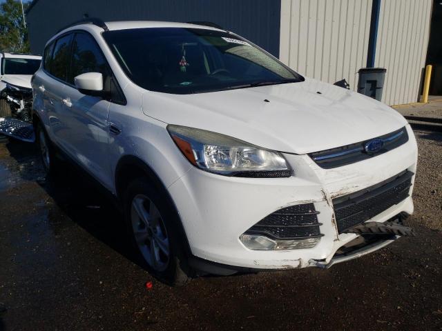 FORD ESCAPE SE 2014 1fmcu9g96euc31524