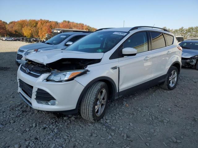 FORD ESCAPE SE 2014 1fmcu9g96euc33869