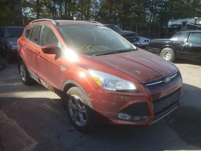 FORD ESCAPE SE 2014 1fmcu9g96euc42927