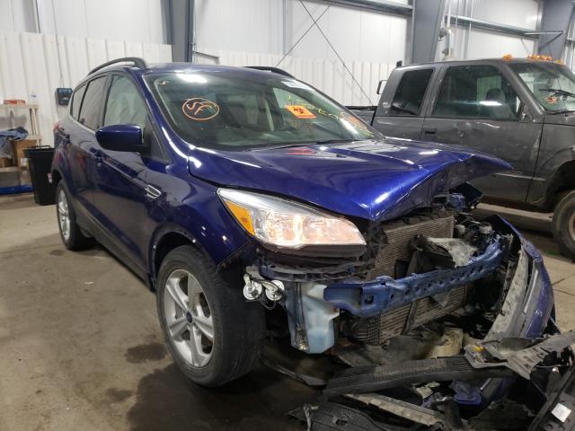 FORD ESCAPE SE 2014 1fmcu9g96euc53927