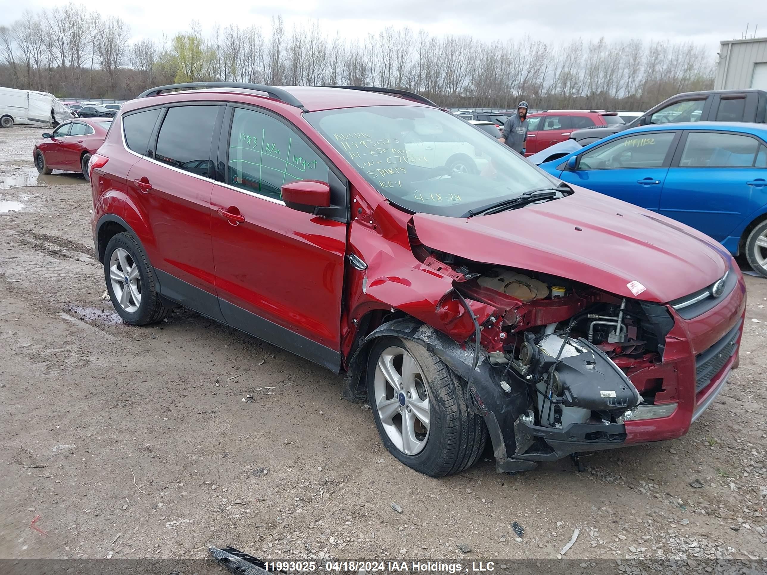 FORD ESCAPE 2014 1fmcu9g96euc71571